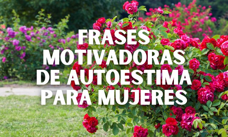 Frases Motivadoras Para Elevar La Autoestima De Las Mujeres Nosotras