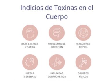 cuatro tipos de toxinas a nuestro cuerpo publicado por abhi