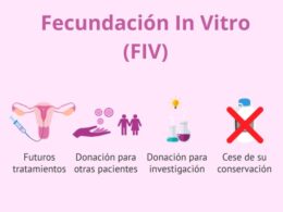 video podría ayudar a predecir que embriones sobreviviré fiv